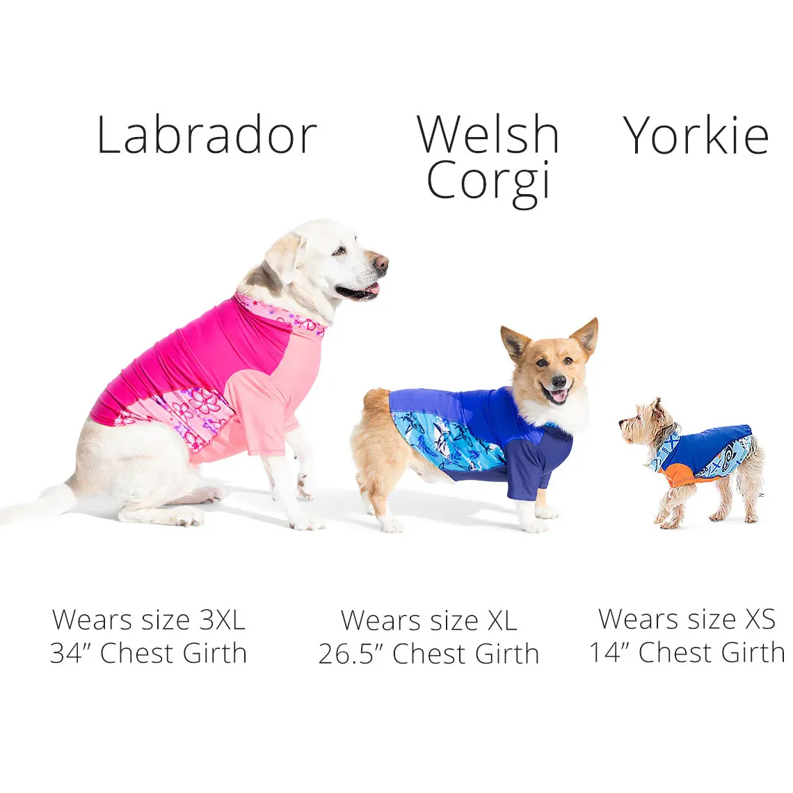 Tuga Sunwear Sun Shirts|Dog Sun Shirt - Ola (Made in USA)