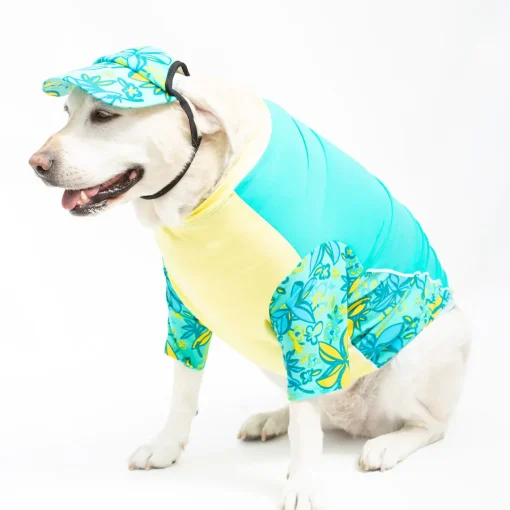 Tuga Sunwear Sun Hats|Dog Visor Sun Hat - Sea
